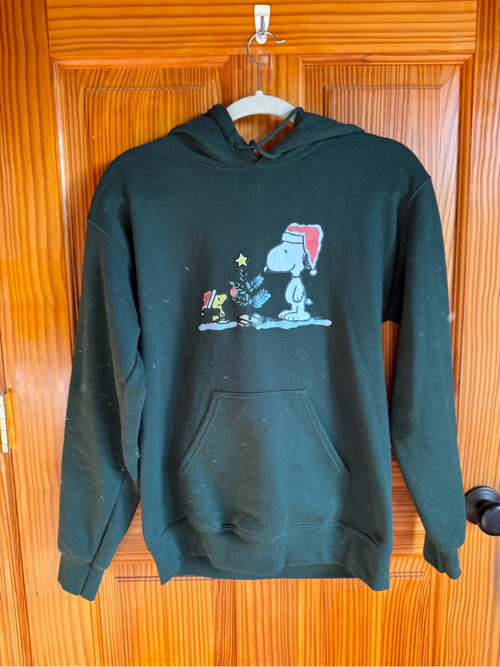 Dark Green Snoopy Holiday Graphic Hoodie - Women’s Sweatshirt